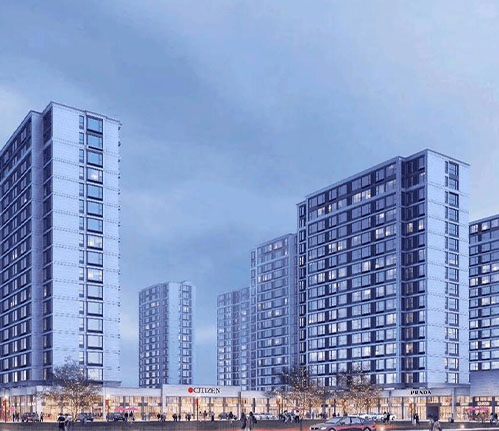 鄂州鋼廠三供一業改造工程